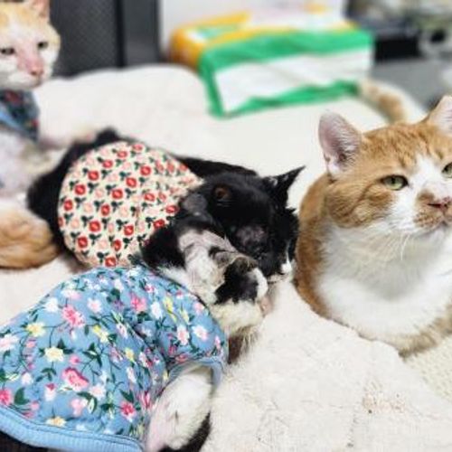 슬라이드 이미지