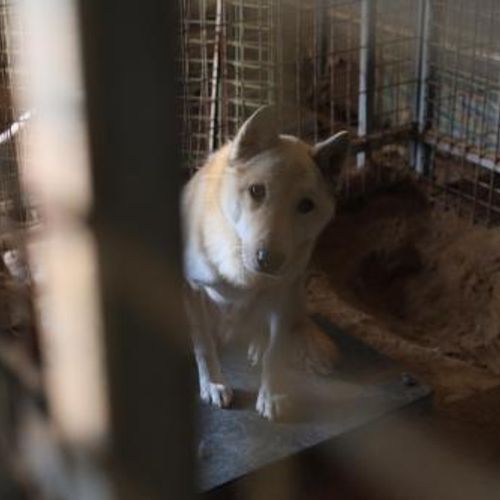 슬라이드 이미지