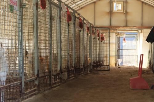 슬라이드 이미지