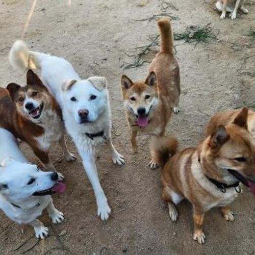 슬라이드 이미지