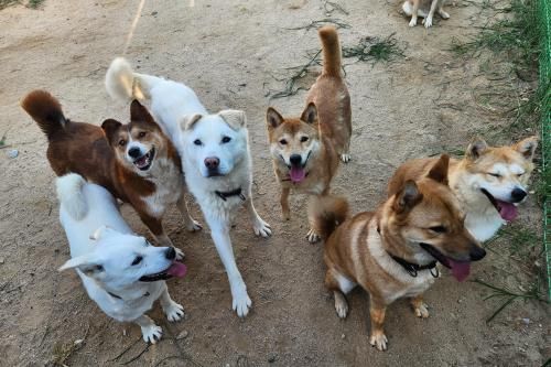 슬라이드 이미지