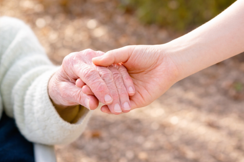 슬라이드 이미지